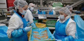 SE SOLICITA PEÓN/A PARA PLANTA DE PRODUCCIÓN EN INDUSTRIA ALIMENTARIA (NO SE REQUIERE EXPERIENCIA), INCORPORACIÓN INMEDIATA Peón para Planta de Producción en Industria Alimentaria en España Planta de Producción Empleo sin experiencia en España Laborer for Production Plant in Food Industry in Spain