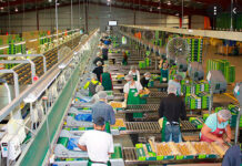 SE SOLICITA PERSONAL DE LABOR GENERAL Y EMPAQUE (CON O SIN EXPERIENCIA), 1ER Y 2DO TURNO DISPONIBLE. PAGO $17.28 POR HORA Personal de Labor General y Empaque Empleo en Torrance California Empleo sin experiencia en USA General Labor and Packaging Personnel Jobs in Torrance California Jobs without experience in the USA
