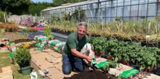 SE PRECISA AYUDANTE AGRÍCOLA PARA VIVERO DE PLANTA ORNAMENTAL (CON O SIN EXPERIENCIA), SE OFRECE BUEN SUELDO Y BENEFICIOS Ayudante Agrícola Para Vivero de Planta Ornamental en España Empleo en Tarragona Empleo sin experiencia en España Viveros El Angol Agricultural Assistant for Ornamental Plant Nursery in Spain