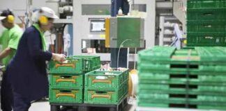 SE NECESITAN ENVASADORAS/ES DE CEBOLLAS DULCES (EXPERIENCIA VALORABLE), INCORPORACIÓN INMEDIATA. BUEN SALARIO Envasadoras de Cebollas Empleo en Lleida empleo de envasador en España Empleo sin experiencia Onion Packers Jobs in Lleida packer jobs in Spain Jobs without experience