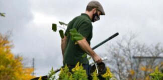 SE NECESITA JARDINERO/A PARA LIMPIEZA Y MANTENIMIENTO (CON O SIN EXPERIENCIA). COMPENSACIÓN COMPETITIVA + PAQUETE DE BENEFICIOS Jardinero en Estados Unidos Empleo en Milford Empleo en Delaware Empleo sin experiencia en USA Gardener Job in the United States Job without experience in the USA