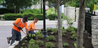 SE NECESITAN JARDINEROS/AS CON O SIN EXPERIENCIA (TRABAJOS DE JARDINERÍA Y MANTENIMIENTO DE EXTERIORES). PAGO $20 POR HORA + ALOJAMIENTO Jardineros Empleo de Jardinero en USA Empleo sin experiencia en USA Empleo en Carolina del Norte Gardeners jobs in USA