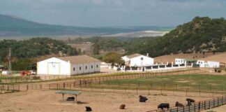 SE SOLICITA MATRIMONIO DE GUARDESES PARA FINCA RURAL (CUIDADO Y MANTENIMIENTO). SE OFRECE ALOJAMIENTO Y BUEN SALARIO Matrimonio de Guardeses para Finca Rural en España Empleo en Toledo empleo de Guardeses en España Marriage of Guardsmen for Rural Estate in Spain