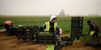 SE SOLICITA OPERARIO/A AGRÍCOLA PARA LABOR GENERAL (CON O SIN EXPERIENCIA), TURNO DE MAÑANA. SALARIO 1.323 € AL MES Operario Agrícola en España Empleo sin Experiencia en España Empleo en Martorell Empleo en Barcelona Agricultural Operator in Spain Employment without Experience in Spain