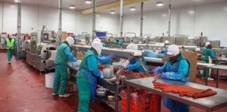 SE SOLICITAN 5 OPERARIOS/AS DE PRODUCCIÓN PARA INDUSTRIA CÁRNICA (CON O SIN EXPERIENCIA), TURNOS ROTATIVOS MAÑANA Y TARDE Operarios de Producción Industria Cárnica Empleo sin experiencia en España Empleo en Guadalajara España Production Operators Meat Industry Jobs without experience in Spain Jobs in Guadalajara Spain