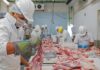 SE BUSCAN OPERARIOS/AS DE PRODUCCIÓN PARA PLANTA DE CARNES VÍA SUMINISTRA EN MONTE GRANDE, ESTEBAN ECHEVERRÍA (SECUNDARIO COMPLETO Y 1 AÑO DE EXPERIENCIA), LUNES A SÁBADO DE 15:30 A 23 HS Operarios de Producción en Argentina Planta de Carnes en Argentina Empleo sin experiencia Production Operators in Argentina Meat Plant in Argentina Employment without experience
