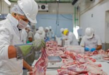 SE BUSCAN OPERARIOS/AS DE PRODUCCIÓN PARA PLANTA DE CARNES VÍA SUMINISTRA EN MONTE GRANDE, ESTEBAN ECHEVERRÍA (SECUNDARIO COMPLETO Y 1 AÑO DE EXPERIENCIA), LUNES A SÁBADO DE 15:30 A 23 HS Operarios de Producción en Argentina Planta de Carnes en Argentina Empleo sin experiencia Production Operators in Argentina Meat Plant in Argentina Employment without experience