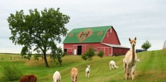 SE BUSCA PAREJA PARA CUIDADO DE GRANJA (CON O SIN EXPERIENCIA). SE OFRECE BUEN PAGO + VIVIENDA EN CABAÑA PRIVADA CON SERVICIOS INCLUIDOS Pareja Para Cuidado de Granja en Indiana Cuidado de Granja en USA empleado para granja en Estados Unidos Couple for Farm Care in Indiana Farm Care in USA employed for farm in the United States