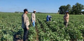 SE SOLICITAN PEONES AGRÍCOLAS PARA EMPRESA AGRO-GANADERA (CON O SIN EXPERIENCIA), 3 VACANTES. BUEN SALARIO Peones Agrícolas Para Empresa Agro-Ganadera en España Empleo en Huelva Agricultural Laborers for Agro-Livestock Company in Spain Employment in Huelva