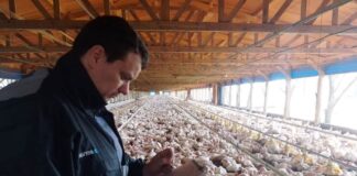 SE SOLICITA PERSONAL PARA GRANJA AVÍCOLA (TRABAJADOR/A GENERAL), CON O SIN EXPERIENCIA. BUENA REMUNERACIÓN Y BENEFICIOS Personal Para Granja Avícola en USA Poultry Farm Staff