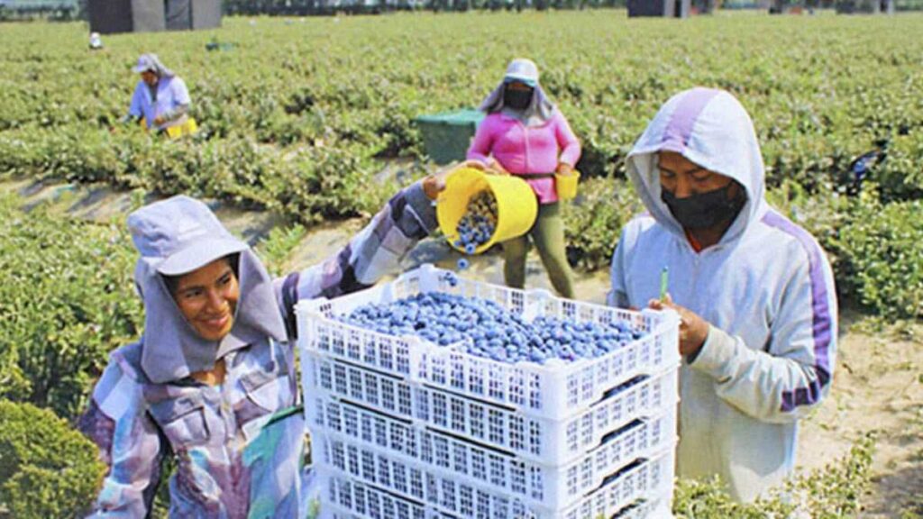 Trabajador agrícola en Baxley