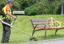 SE PRECISA AUXILIAR DE JARDINERÍA (EXPERIENCIA VALORABLE), TURNO DE MAÑANA DE LUNES A VIERNES. BUEN SALARIO Auxiliar de Jardinería en España Empleo en Barcelona Gardening Assistant in Spain Jobs in Barcelona