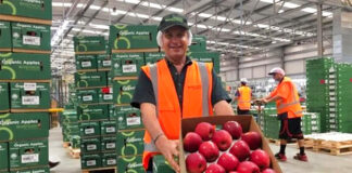 SE SOLICITAN EMPACADORES/AS DE MANZANAS (NO ES NECESARIO EXPERIENCIA), 1ER TURNO. PAGO $18.00 POR HORA + HORAS EXTRAS Empacadores de manzanas empleo en Nueva York Apple packers packaging jobs in the United States jobs in New York