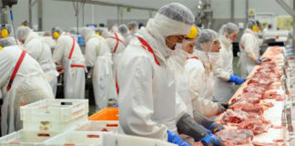 SE REQUIERE ENVASADOR/A DE CARNE (CON O SIN EXPERIENCIA), 30 A 40 HORAS SEMANALES. PAGO $20 A $21 POR HORA Envasador/a De Carne en Canadá Empleo en Calgary Empleo en Alberta Empleo sin experiencia en Canadá Meat Packer in Canada Jobs without experience in Canada