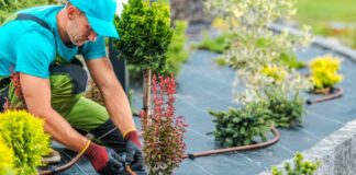 SE NECESITAN JARDINEROS/AS – TRABAJADOR/ES DE RIEGO (CON O SIN EXPERIENCIA), 20 VACANTES. PAGO $21.87 – $37.50 POR HORA Jardineros Trabajadores de Riego en Estados Unidos Empleo sin experiencia en USA Gardeners Irrigation Workers in the United States Jobs without experience in the USA