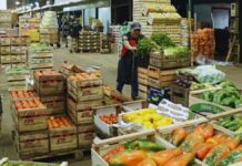 SE SOLICITA OPERARIO/A DE ALIMENTACIÓN PARA ALMACÉN DE FRUTA (MÍNIMA EXPERIENCIA), 3 TURNOS DISPONIBLES. PAGO 8,72 € POR HORA Operario de Alimentación en España Almacén de Fruta en España Food Operator in Spain Fruit Warehouse in Spain
