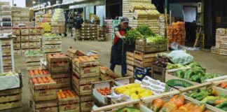 SE SOLICITA OPERARIO/A DE ALIMENTACIÓN PARA ALMACÉN DE FRUTA (MÍNIMA EXPERIENCIA), 3 TURNOS DISPONIBLES. PAGO 8,72 € POR HORA Operario de Alimentación en España Almacén de Fruta en España Food Operator in Spain Fruit Warehouse in Spain