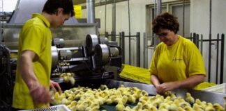 SE NECESITA TRABAJADOR DE PRODUCCIÓN DE CRIADERO (GRANJA AVÍCOLA), CON O SIN EXPERIENCIA. JORNADA PART TIME, BUEN PAGO Trabajador de Producción de Criadero Granja Avícola en Canadá Lethbridge Empleo en Alberta Empleo sin experiencia en Canadá Poultry Farm Hatchery Production Worker in Canada