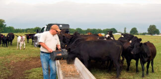SE SOLICITAN 5 TRABAJADORES DE RANCHO (POCA EXPERIENCIA), LABORES GENERALES. SALARIO $3425 AL MES + ALOJAMIENTO Trabajadores de Rancho empleado para granja en Estados Unidos Ridgway Empleo en Colorado Ranch Workers Employed for Ridgway Farm in the United States Employment in Colorado