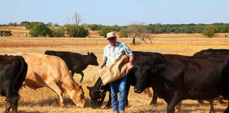 SE SOLICITAN AYUDANTES DE RANCHO (2 PUESTOS), NO REQUIERE EXPERIENCIA PREVIA. SE OFRECE BUENA REMUNERACIÓN Y BENEFICIOS Ayudantes de rancho Trabajador para finca vaquero Peón agrícola ayudante para rancho de ganado cattle ranch helper