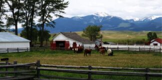 SE SOLICITAN TRABAJADORES DE RANCHO GANADERO (4 VACANTES), POCA EXPERIENCIA. CONTRATO POR 11 MESES, BUEN PAGO POR HORA Rancho Ganadero trabajadores Empleo en Texas Rancho Ganadero en USA Livestock Ranch Hands in Big Lake Employment in Texas Livestock Ranch in the USA
