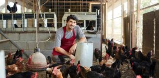 SE NECESITA TRABAJADOR/A DE GRANJA AVÍCOLA (NO REQUIERE EXPERIENCIA), PAGO DESDE $17.50 POR HORA + BENEFICIOS Trabajador de Granja Avícola en Wadesboro Empleo en Carolina del Norte empleo sin experiencia en USA Poultry Farm Worker Jobs in North Carolina jobs