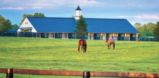 SE SOLICITAN 8 TRABAJADORES PARA GRANJA DE CABALLOS (HOMBRES O MUJERES), POCA EXPERIENCIA. PAGO $4067 AL MES Trabajadores Para Granja de Caballos Empleo en Hudson Empleo en Nueva York Granja de Caballos en USA Horse Farm Workers Jobs in Hudson Jobs in New York Horse Farm in the USA