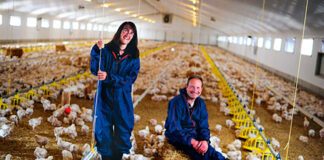 SE NECESITAN TRABAJADORES PARA GRANJA AVÍCOLA (HOMBRES Y MUJERES), 6 VACANTES. SALARIO $2850 AL MES Trabajadores para Granja Avícola en Ontario Trabajador de Granja Avícola en USA Empleo en USA Poultry Farm Worker in USA Poultry Farm Worker in USA