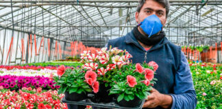 SE SOLICITA DEPENDIENTE/A PARA VIVERO DE FLORES (MÍNIMA EXPERIENCIA), PERSONA RESPONSABLE Y PUNTUAL. BUEN SUELDO, INGRESO INMEDIATO Dependiente Vivero de Flores Empleo en Murcia empleo de atención al público en España Flower Nursery Clerk Job in Murcia Customer Service Job in Spain