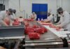 SE NECESITAN EMPACADORES DE CARNE (CON O SIN EXPERIENCIA), 2DO TURNO DE LUNES A VIERNES. BUEN PAGO POR HORA Empacadores de Carne Empleo en City of Industry Empleo en Los Ángeles Empleo en California Meat Packers Jobs in City of Industry Jobs in Los Angeles Jobs in California