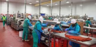 SE SOLICITAN OPERARIOS/AS CÁRNICOS PARA IMPORTANTE EMPRESA DEL SECTOR (MÍNIMA EXPERIENCIA). PAGO 10,89 € POR HORA, 40 HORAS SEMANALES Operarios Cárnicos Empresa Cárnica Empleo en Cártama Estación Empleo en Málaga empleo de operario en España Meat Workers Meat Company Employment in Malaga