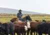 SE NECESITAN 2 AYUDANTES DE RANCHO GANADERO (NO REQUIERE EXPERIENCIA), 5 DÍAS A LA SEMANA. SALARIO $2540,8 POR MES Ayudantes de Rancho Ganadero en Estados Unidos empleo en Kentucky empleo sin experiencia en USA Ranch Helpers in the United States, jobs in Kentucky, jobs without experience in the USA