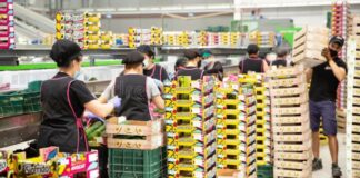 SE SOLICITAN ENVASADORES/AS DE FRUTA (MÍNIMA EXPERIENCIA). INCORPORACIÓN INMEDIATA, BUEN SALARIO Envasadores de Fruta en España empleo en Provincia de Lleida empleo de envasador en España Fruit Packers in Spain Jobs for Packers in Spain