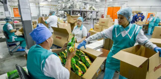 SE SOLICITAN OPERARIOS/AS DE ENVASADO (10 VACANTES), EMPRESA DEL SECTOR ALIMENTARIO. BUEN SALARIO, INGRESO INMEDIATO Operarios de Envasado empleo de envasador en España Empresa del Sector Alimentario Packaging Operators - Packaging Jobs in Spain - Food Sector Company