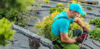 SE SOLICITA PEÓN/A DE JARDINERÍA Y RIEGOS (MÍNIMA EXPERIENCIA), INGRESO INMEDIATO. BUEN SALARIO Peón de Jardinería y Riegos Empleo en Zaragoza empleo de jardinero en España Gardening and Irrigation Worker Job in Zaragoza Gardener Job in Spain