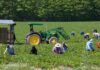 SE SOLICITAN 3 TRABAJADORES AGRÍCOLAS GENERALES, BUEN PAGO POR HORA. CONTRATO POR 10 MESES, CON POSIBILIDAD DE EXTENSIÓN Trabajadores Agrícolas Generales en USA Empleo en Floydada Empleo en Texas empleo sin experiencia en USA General Agricultural Workers in USA Employment in Floydada Employment in Texas