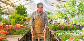 SE SOLICITAN 3 TRABAJADORES PARA VIVERO DE PLANTAS (HOMBRES Y MUJERES), POCA EXPERIENCIA. JORNADA COMPLETA, BUEN PAGO POR HORA Trabajadores para Vivero de Plantas en USA empleo en Minnesota Personal para Vivero en Estados Unidos Plant Nursery Workers in the USA, Nursery Staff in Minnesota and Nursery Staff in the United States