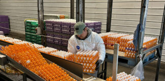 SE SOLICITAN EMPACADORES/AS (CON O SIN EXPERIENCIA). 1ER TURNO DE LUNES A VIERNES. BUEN PAGO POR HORA empacadores de Huevos egg packers in usa Packer jobs in the United States