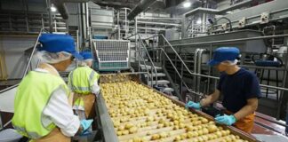 SE SOLICITA OPERARIO/A DE ENVASADO (EMPRESA DEL SECTOR ALIMENTICIO), INCORPORACIÓN INMEDIATA. BUEN SALARIO Y BENEFICIOS Operario de Envasado Empresa del Sector Alimenticio en España Empleo en Burgos Packaging Operator Food Sector Company in Spain Jobs in Burgos spain