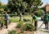 SE PRECISA JARDINERO/A (EMPRESA DEL SECTOR VITIVINÍCOLA), MÍNIMA EXPERIENCIA. BUENA REMUNERACIÓN, INGRESO INMEDIATO Jardinero gardener empleo de jardineria en España Empleos Urgentes