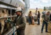 SE SOLICITAN 2 TRABAJADORES/AS GENERALES PARA GRANJA GANADERA (CON O SIN EXPERIENCIA), TRABAJO PERMANENTE. PAGO $21.50 LA HORA + ALOJAMIENTO Trabajadores granja ganaderia en Canadá Empleo con alojamiento en Canadá farm workers rancho en Canada jobs Empleos Urgentes
