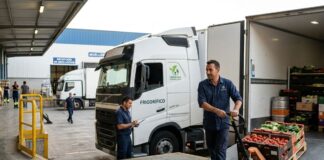 SE SOLICITAN CONDUCTORES DE CAMIÓN (HOMBRES Y MUJERES), PARA EMPRESA DEL SECTOR ALIMENTACIÓN. 20 VACANTES, SALARIO 1918,4 € MENSUAL Conductores de camion para empresa de alimentos en España truck drivers empleo en Madrid spain jobs Empleos Urgentes