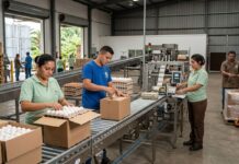 SE SOLICITA OPERARIO(A) PARA EMPAQUE DE HUEVO, NO ES NECESARIO EXPERIENCIA. REMUNERACIÓN COMPETITIVA Operario para Empaque de Huevo empleo sin experiencia en Costa Rica Egg Packing Operator Operator job in Costa Rica job without experience in Costa Rica Empleos Urgentes