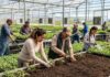 SE BUSCA TRABAJADOR/A DE INVERNADERO PARA EUROSA FARMS EN BRENTWOOD BAY, COLUMBIA BRITÁNICA (NO EXIGE EXPERIENCIA, SE CAPACITA), TIEMPO COMPLETO. PAGO DE $18.25 POR HORA Peones Agricolas en Estados Unidos Trabajo en Viveros e Invernaderos en USA jobs farm workers Empleos Urgentes
