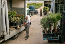 SE SOLICITA CONDUCTOR DE CAMIÓN PARA VIVERO (HOMBRE Y MUJER), INGRESO INMEDIATO. BUEN SALARIO Conductor de Camión Para Vivero en España Trabajo estable Truck Driver for Nursery in Spain Empleos Urgentes