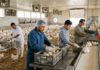 SE NECESITAN TRABAJADORES AVÍCOLAS PARA GRANJA (6 VACANTES), 40 HORAS SEMANALES. SALARIO $2850 AL MES Trabajadores de granja avícola en Canadá farm wprkers poultry farm Canada Jobs Granja Avícola en Canadá Empleos Urgentes