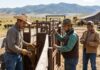 SE SOLICITAN 3 TRABAJADORES PARA GRANJA Y RANCHO (GANADO BOVINO Y PORCINO), NO REQUIERE EXPERIENCIA PREVIA. PAGO $19.21 POR HORA Trabajadores para granja ganadera en Estados Unidos USA jobs ganado bovino y porcino en Estados Unidos USA jobs Empleos Urgentes