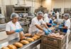 SE NECESITAN EMPACADORES/AS PARA INDUSTRIA PANIFICADORA (NO REQUIERE EXPERIENCIA), CONTRATACIÓN INMEDIATA. REMUNERACIÓN COMPETITIVA Empacadores para industri panificadora en Costa Rica Packers jobs workers Empleos Urgentes