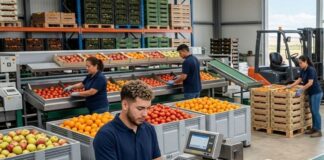 SE SOLICITAN ENVASADORES/AS PARA ALMACÉN DE FRUTAS Y VERDURAS (MÍNIMA EXPERIENCIA), BUEN SALARIO Y BENEFICIOS Envasadores para almacen de frutas y verduras en España spain jobs fruit packers warehouse operators Empleos en España Empleos Urgentes