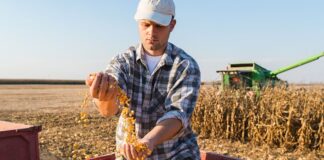 SE SOLICITA TRABAJADOR/A AGRÍCOLA (NO REQUIERE EXPERIENCIA PREVIA), 40 HORAS SEMANALES DE LUNES A VIERNES. BUEN PAGO Trabajador agricola en Estados Unidos Empleo de agricola USA Jobs Empleos en Estados Unidos Empleos Urgentes